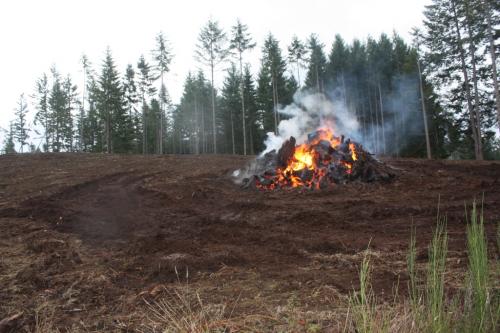 1-land clr-fall creek