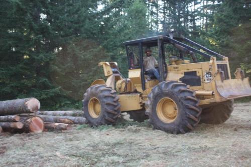 logging